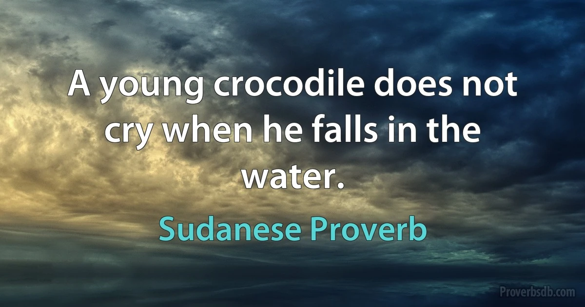 A young crocodile does not cry when he falls in the water. (Sudanese Proverb)