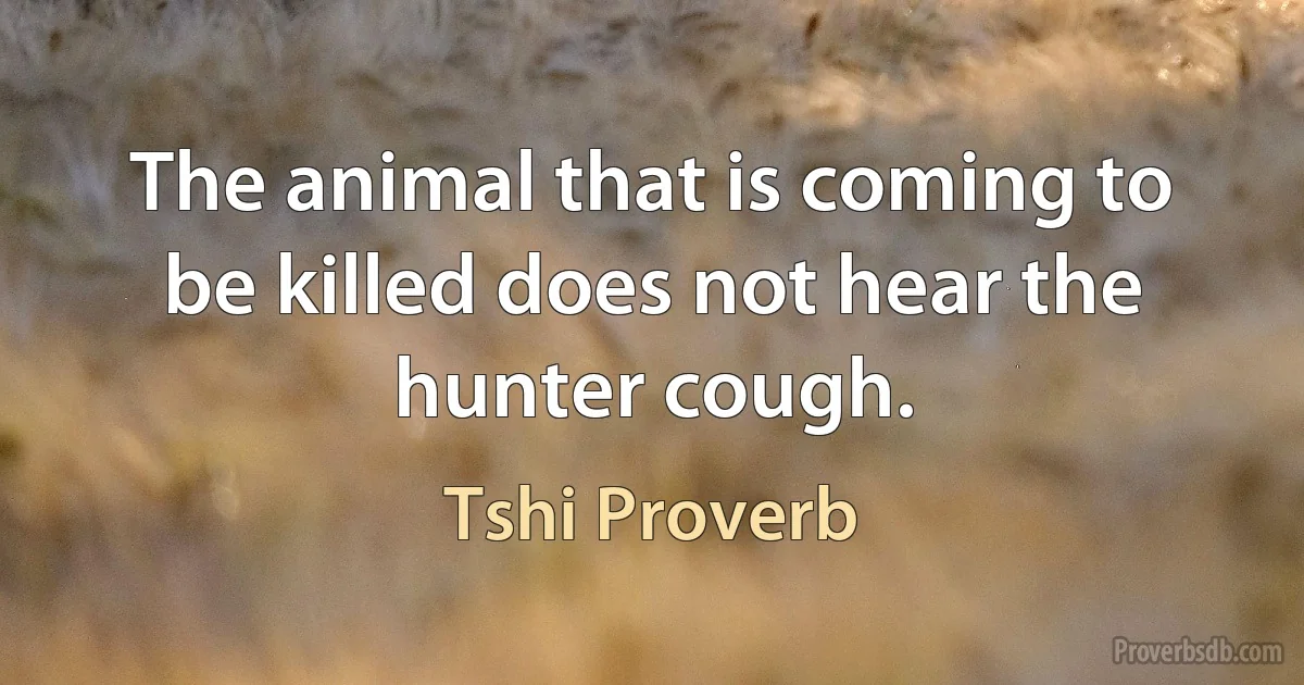 The animal that is coming to be killed does not hear the hunter cough. (Tshi Proverb)