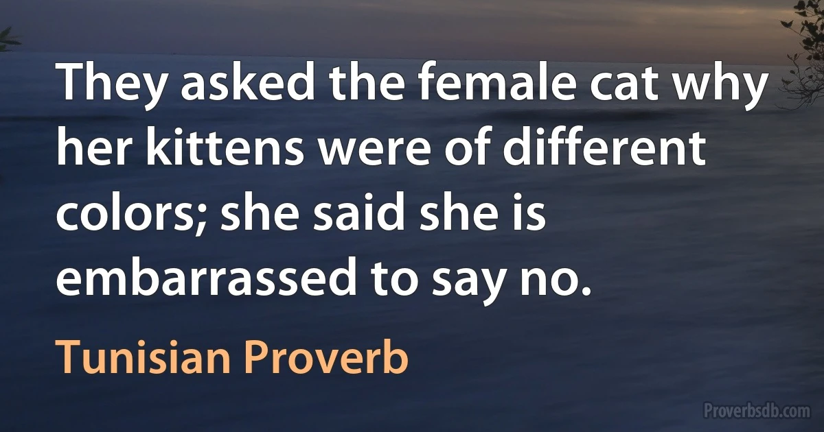 They asked the female cat why her kittens were of different colors; she said she is embarrassed to say no. (Tunisian Proverb)