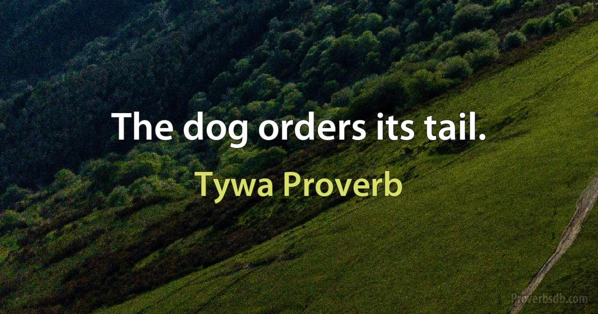 The dog orders its tail. (Tywa Proverb)