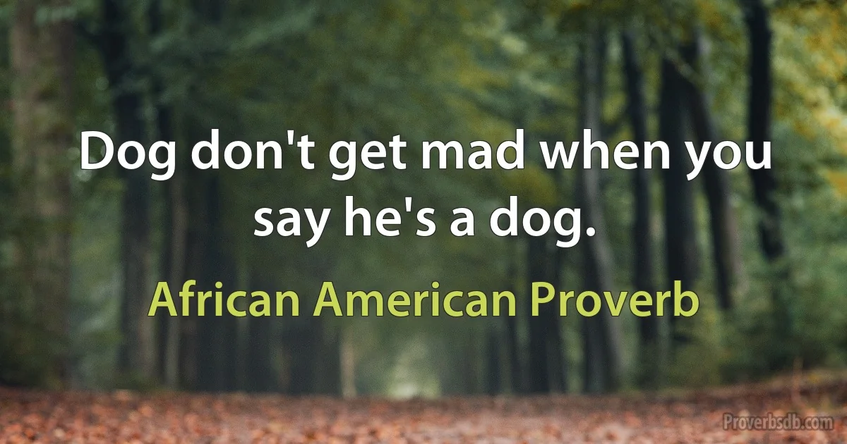 Dog don't get mad when you say he's a dog. (African American Proverb)