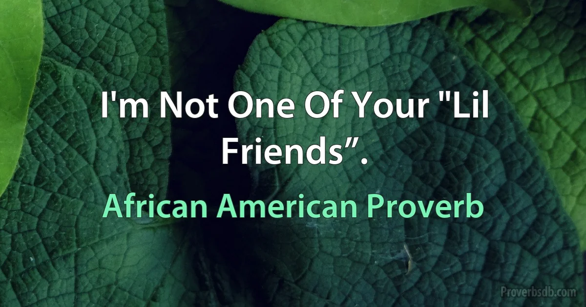 I'm Not One Of Your "Lil Friends”. (African American Proverb)