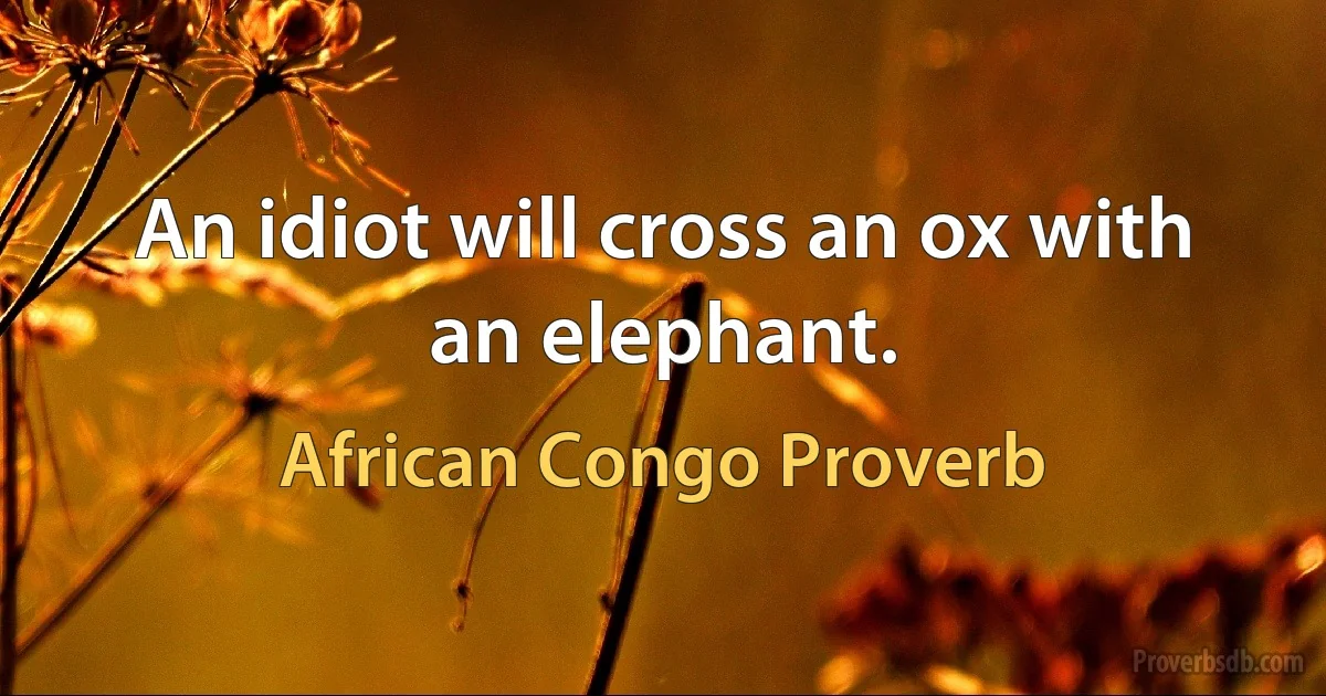 An idiot will cross an ox with an elephant. (African Congo Proverb)