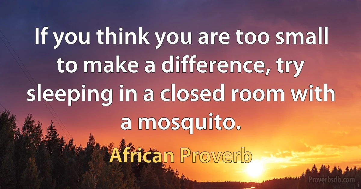 If you think you are too small to make a difference, try sleeping in a closed room with a mosquito. (African Proverb)