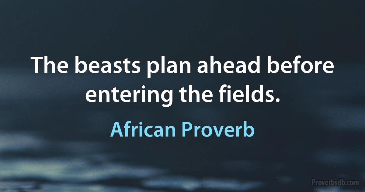 The beasts plan ahead before entering the fields. (African Proverb)