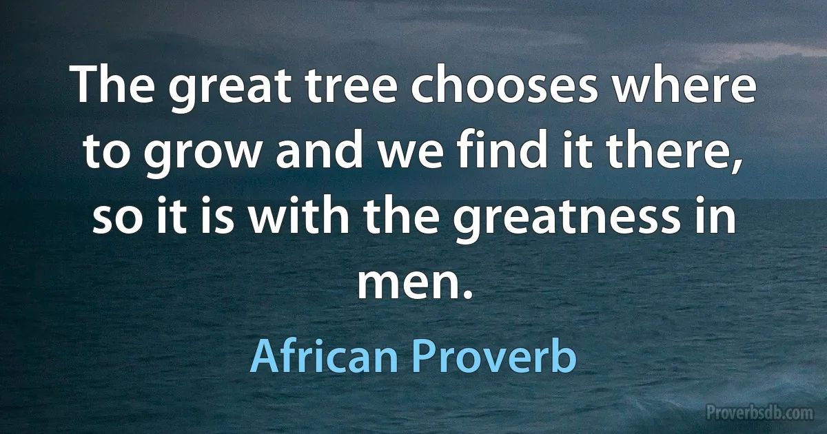 The great tree chooses where to grow and we find it there, so it is with the greatness in men. (African Proverb)