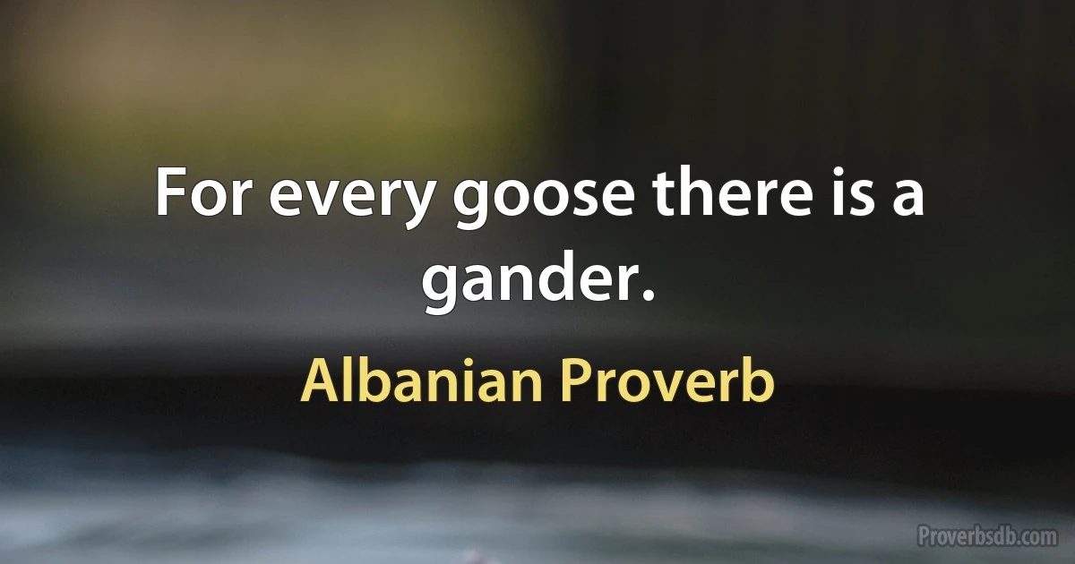 For every goose there is a gander. (Albanian Proverb)