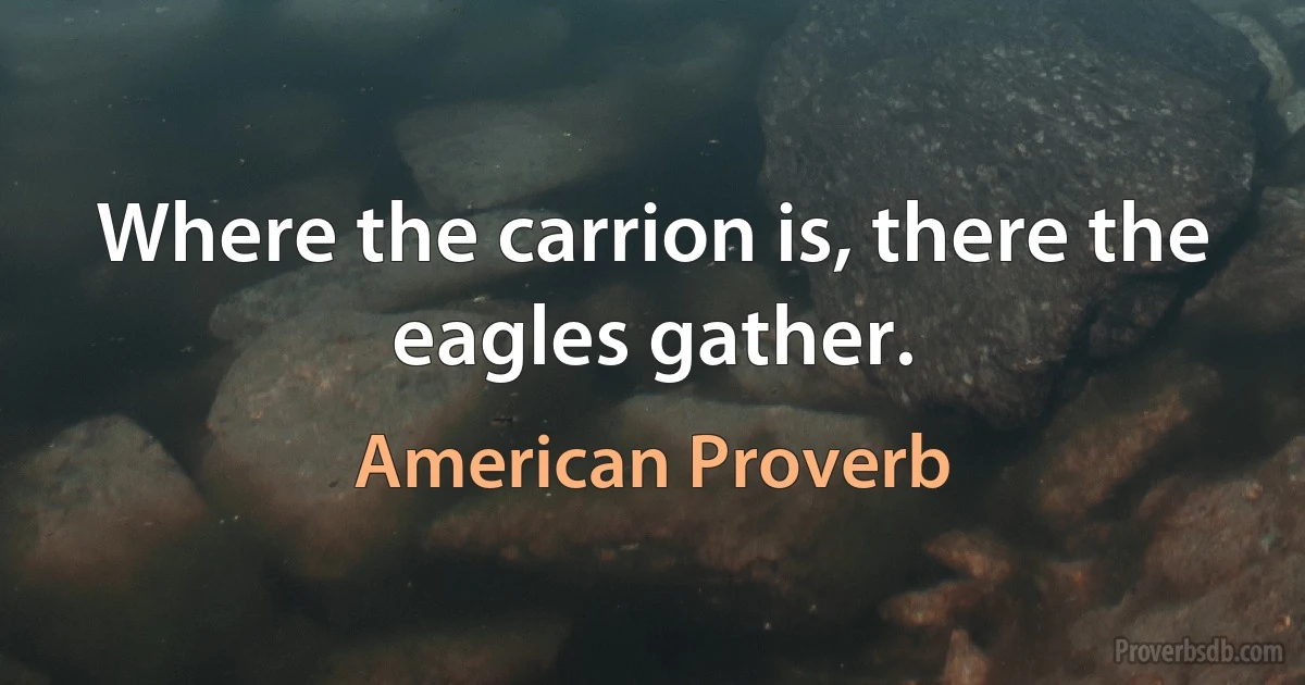 Where the carrion is, there the eagles gather. (American Proverb)