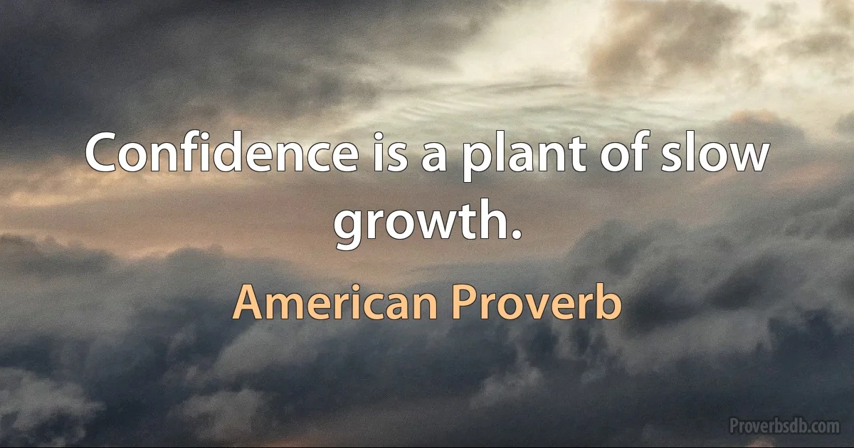 Confidence is a plant of slow growth. (American Proverb)