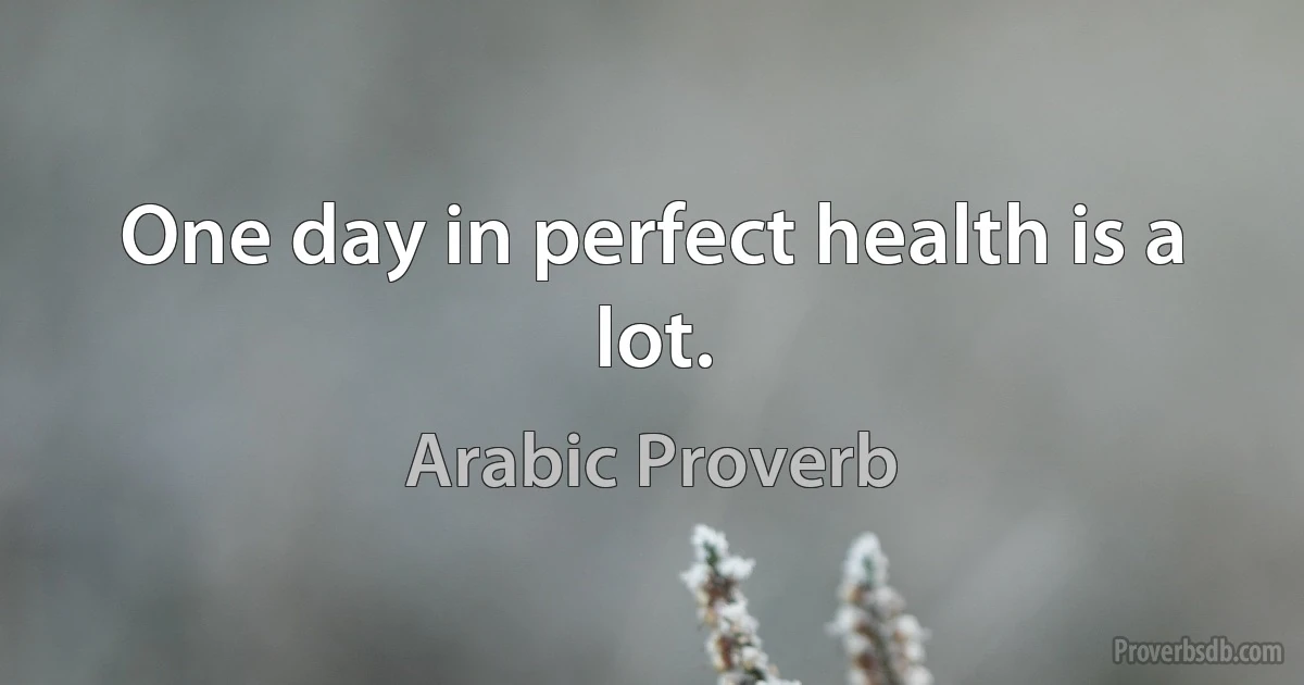 One day in perfect health is a lot. (Arabic Proverb)