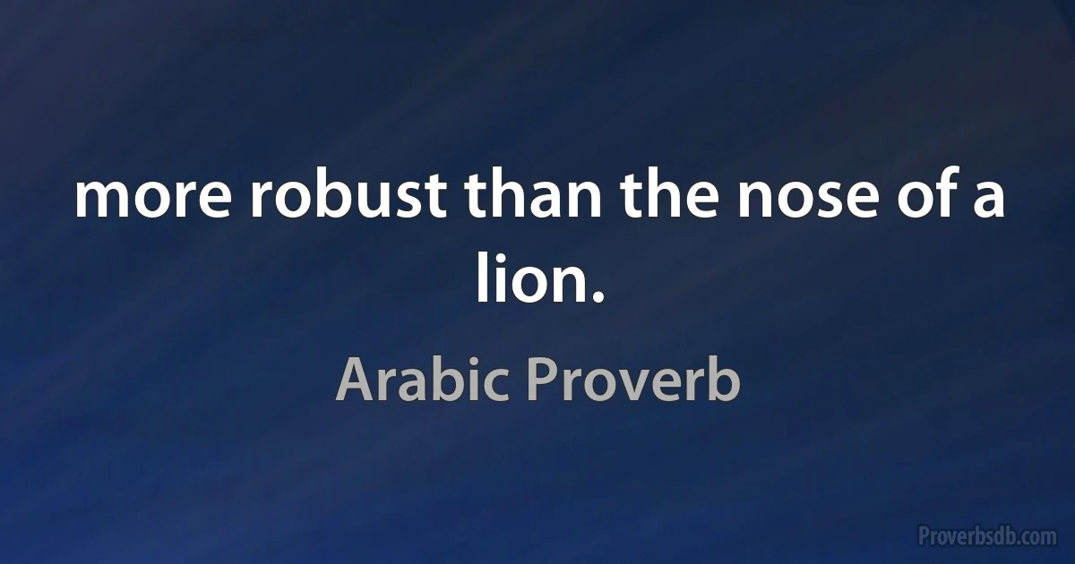 more robust than the nose of a lion. (Arabic Proverb)