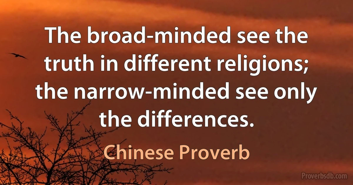 The broad-minded see the truth in different religions; the narrow-minded see only the differences. (Chinese Proverb)