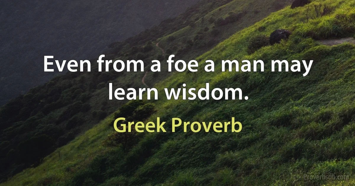 Even from a foe a man may learn wisdom. (Greek Proverb)