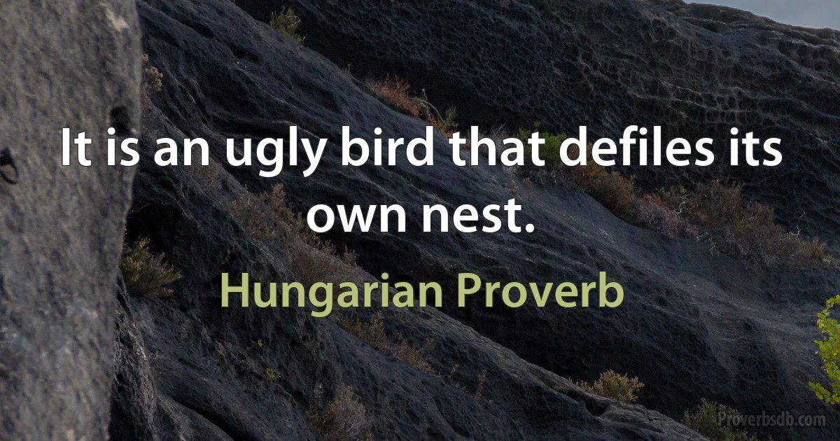 It is an ugly bird that defiles its own nest. (Hungarian Proverb)