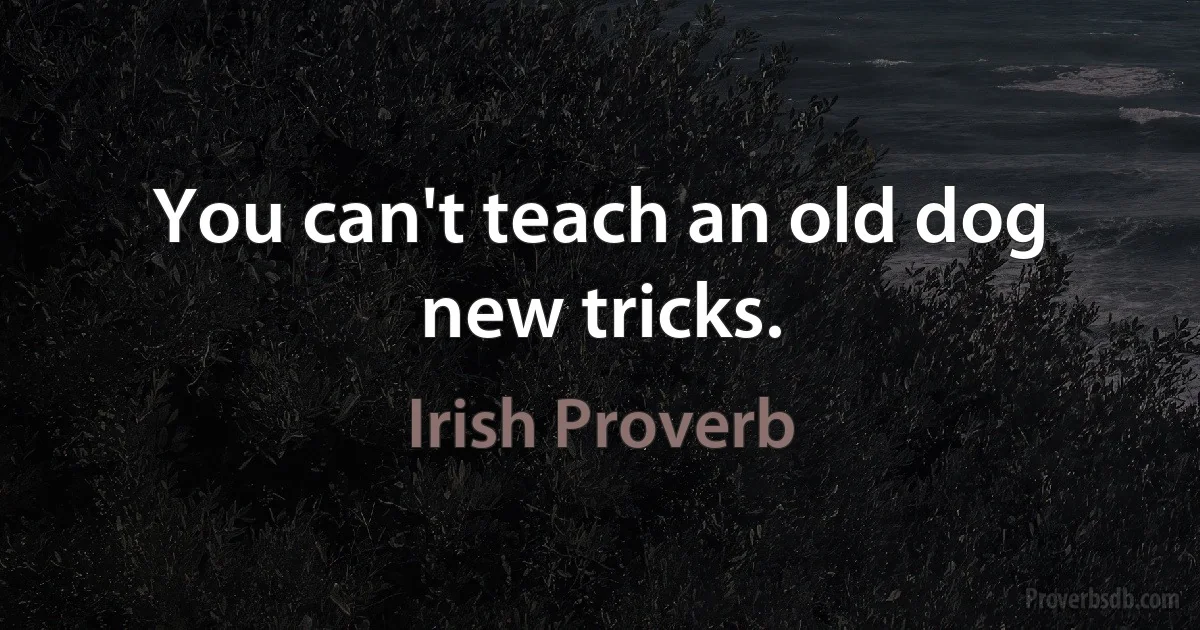 You can't teach an old dog new tricks. (Irish Proverb)