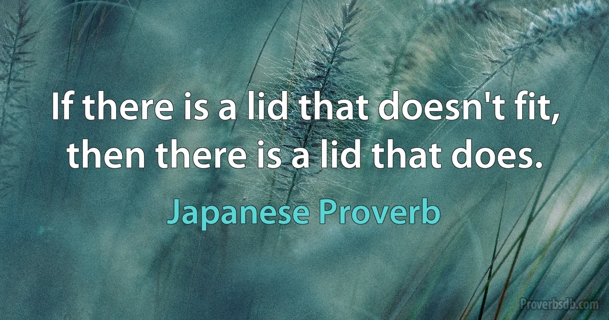 If there is a lid that doesn't fit, then there is a lid that does. (Japanese Proverb)