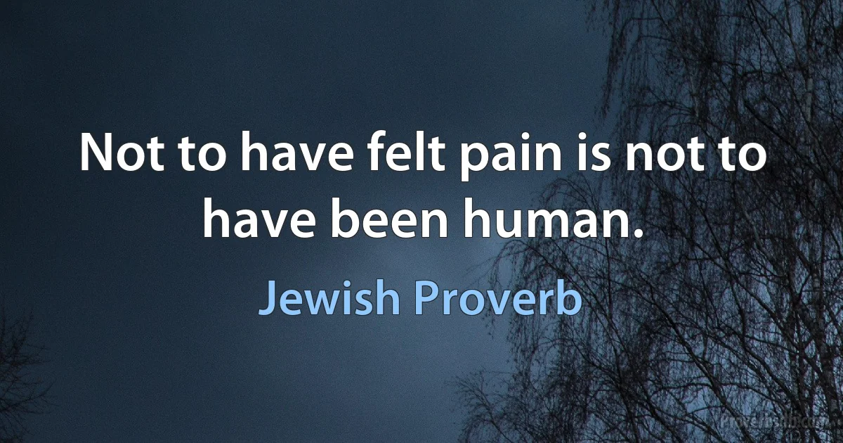 Not to have felt pain is not to have been human. (Jewish Proverb)