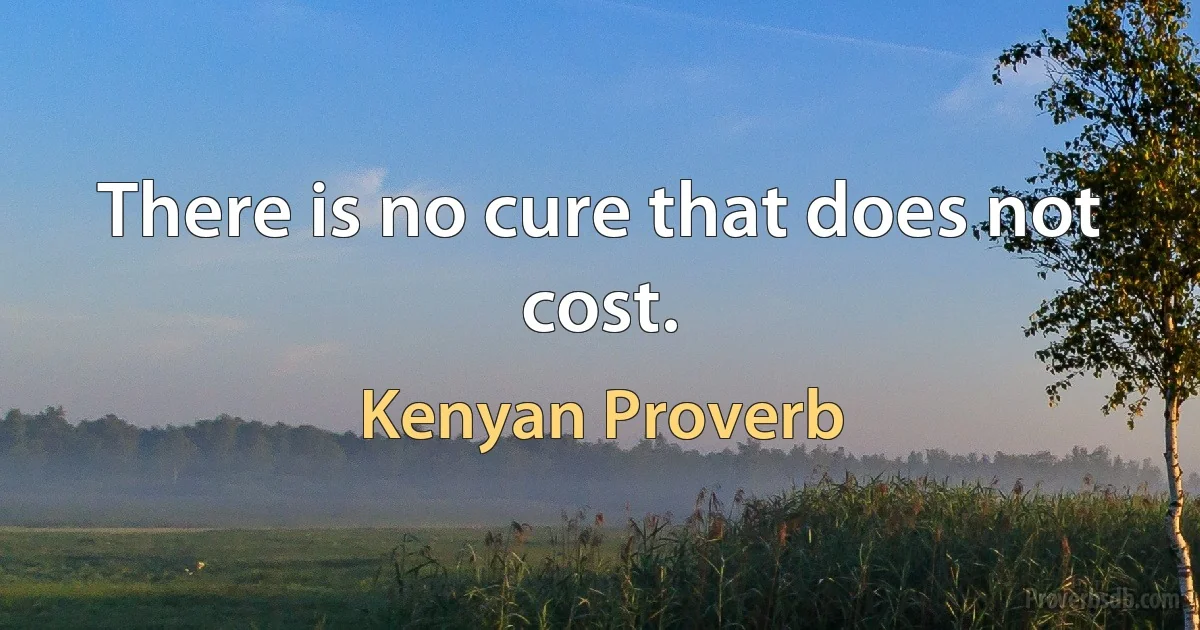 There is no cure that does not cost. (Kenyan Proverb)