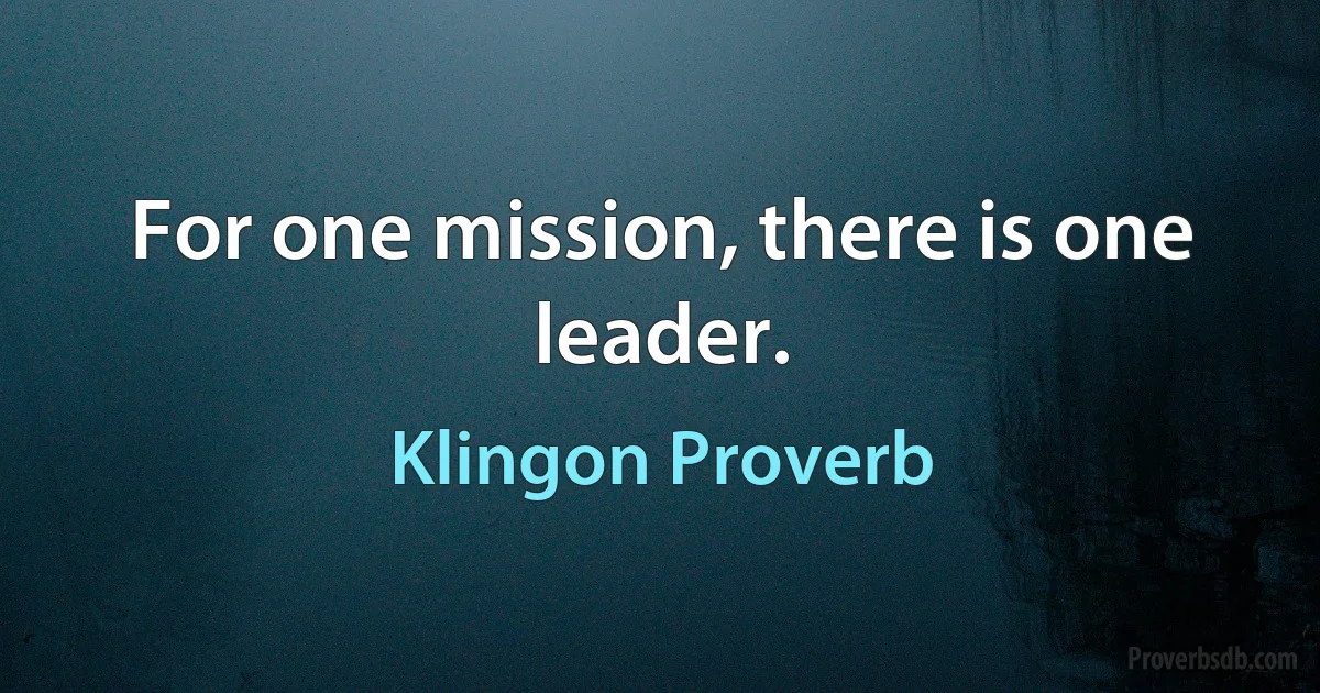 For one mission, there is one leader. (Klingon Proverb)