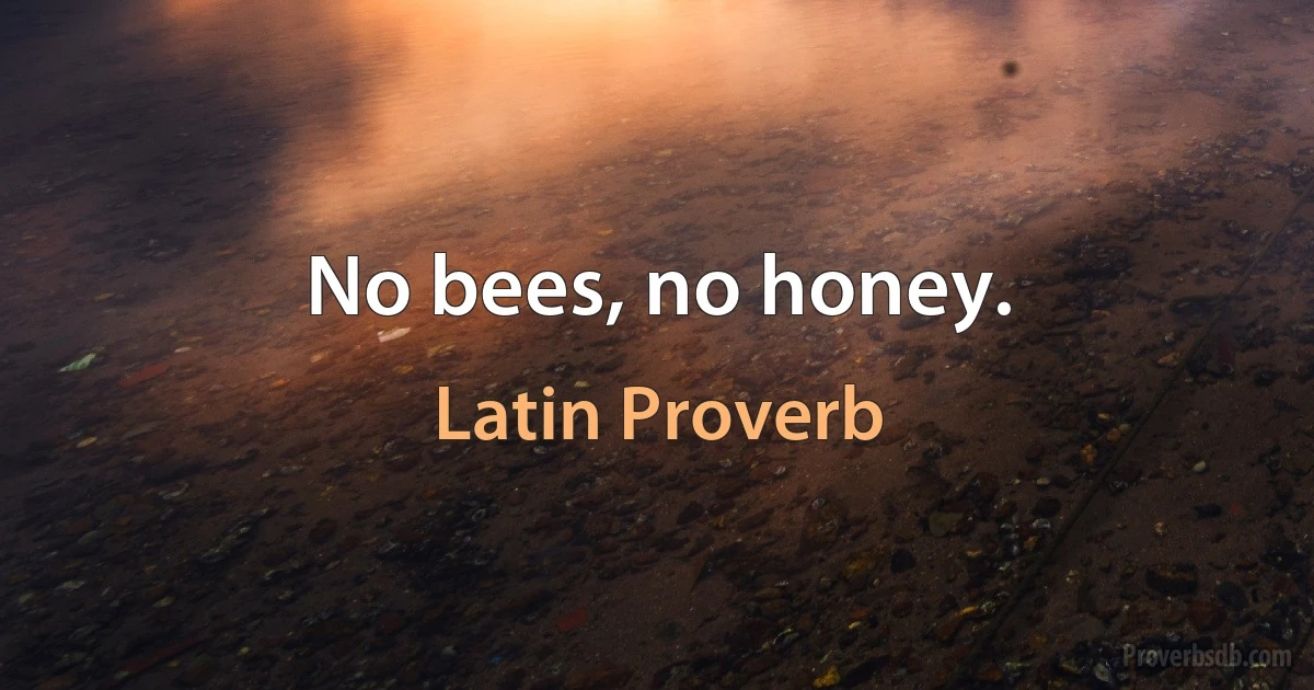 No bees, no honey. (Latin Proverb)