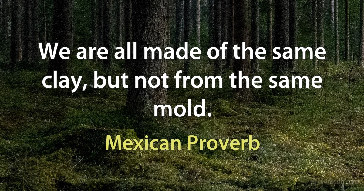 We are all made of the same clay, but not from the same mold. (Mexican Proverb)