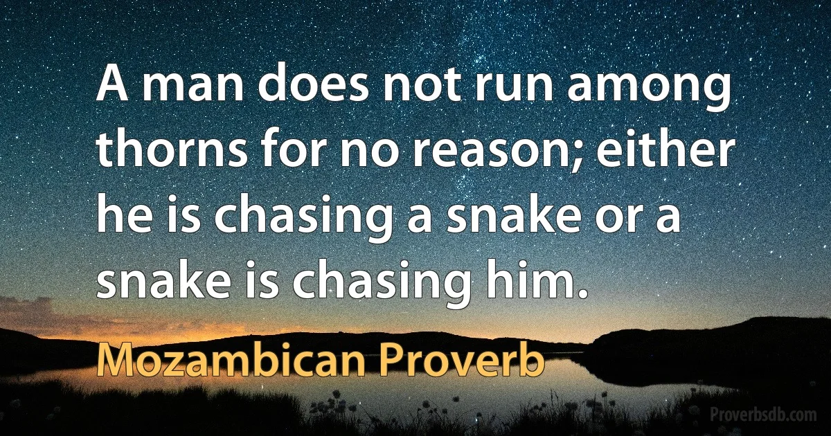 A man does not run among thorns for no reason; either he is chasing a snake or a snake is chasing him. (Mozambican Proverb)