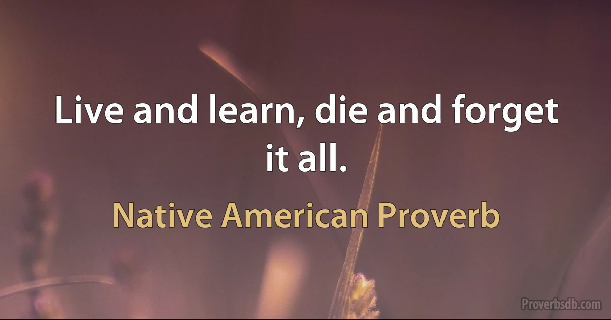 Live and learn, die and forget it all. (Native American Proverb)