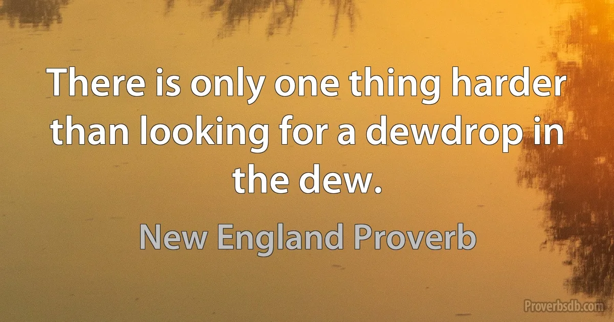 There is only one thing harder than looking for a dewdrop in the dew. (New England Proverb)