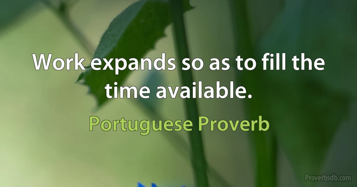 Work expands so as to fill the time available. (Portuguese Proverb)