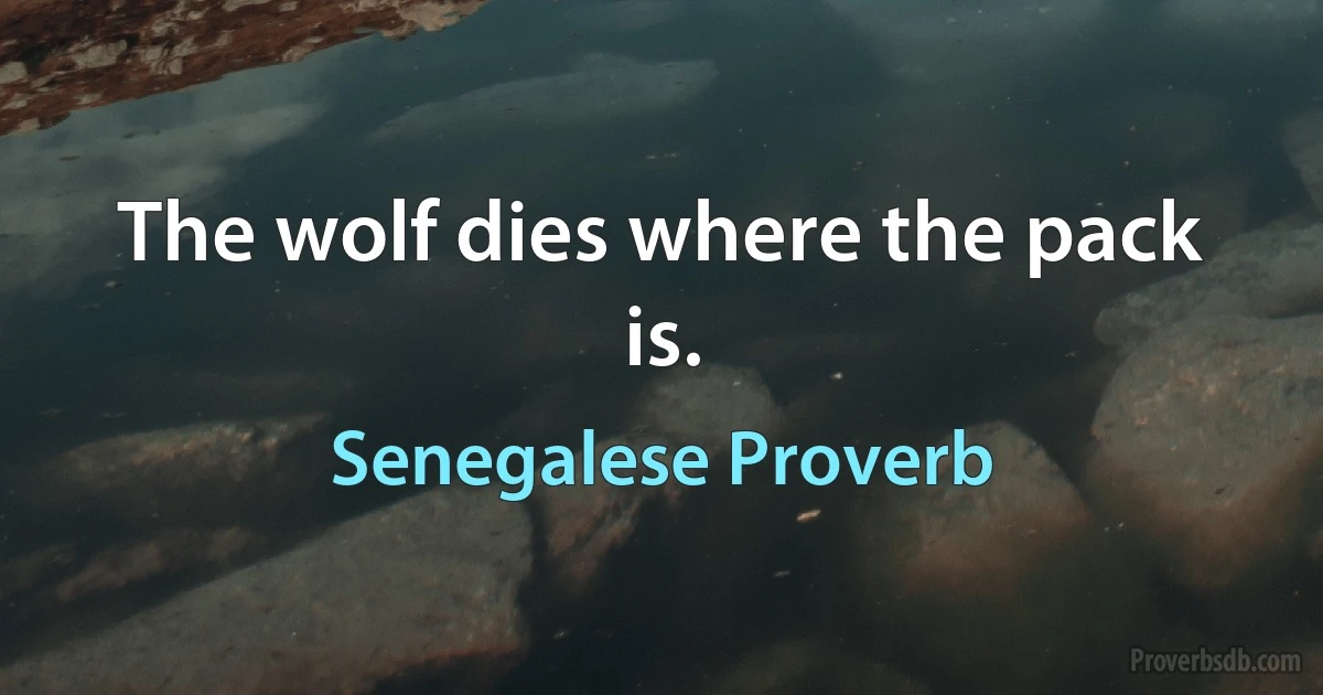 The wolf dies where the pack is. (Senegalese Proverb)