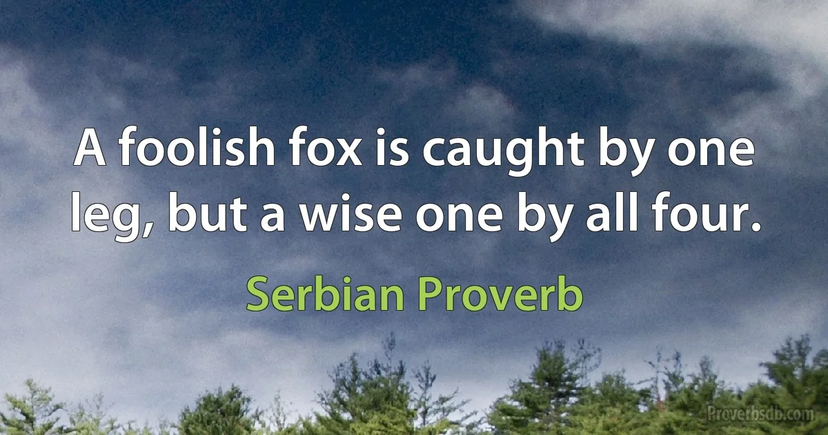 A foolish fox is caught by one leg, but a wise one by all four. (Serbian Proverb)