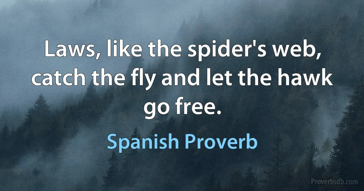 Laws, like the spider's web, catch the fly and let the hawk go free. (Spanish Proverb)