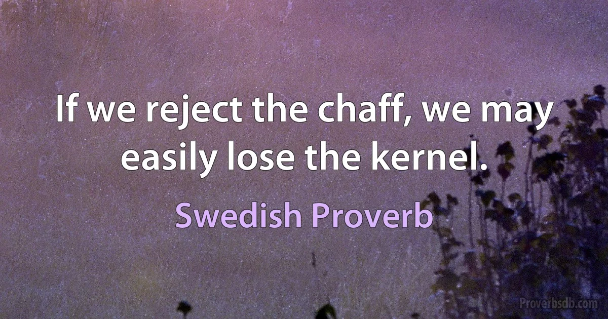 If we reject the chaff, we may easily lose the kernel. (Swedish Proverb)