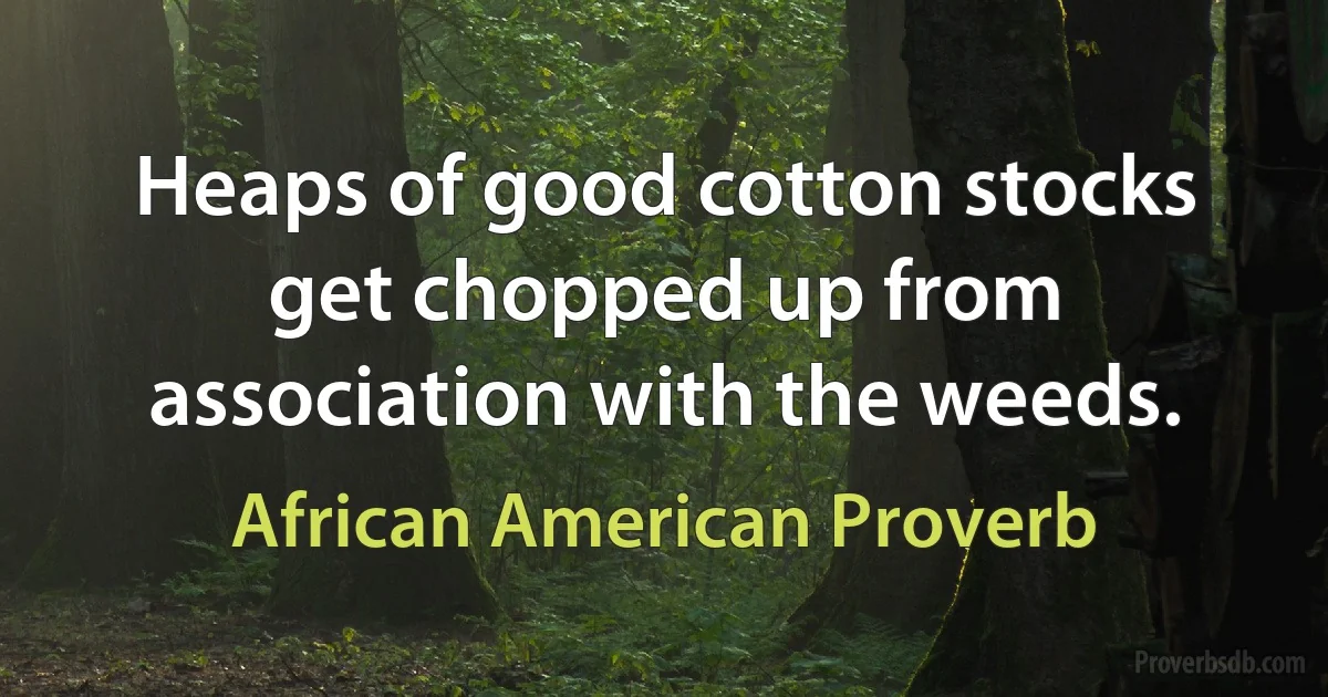 Heaps of good cotton stocks get chopped up from association with the weeds. (African American Proverb)