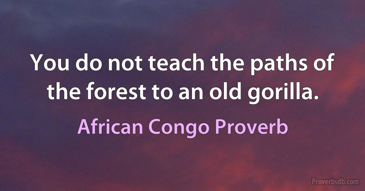 You do not teach the paths of the forest to an old gorilla. (African Congo Proverb)