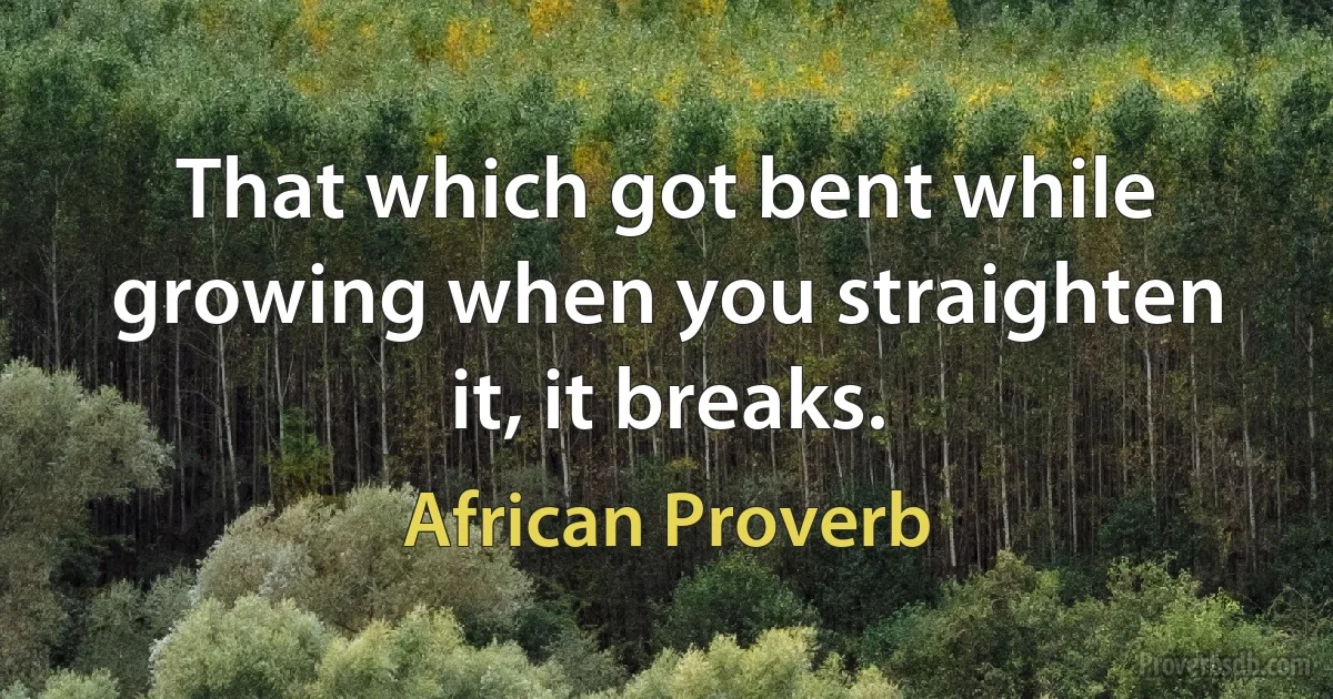 That which got bent while growing when you straighten it, it breaks. (African Proverb)