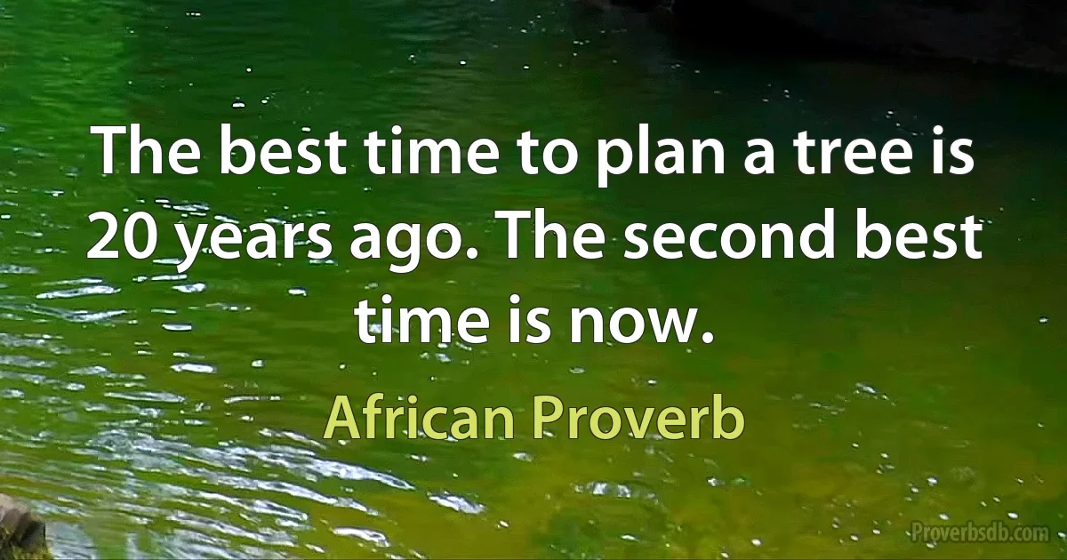 The best time to plan a tree is 20 years ago. The second best time is now. (African Proverb)