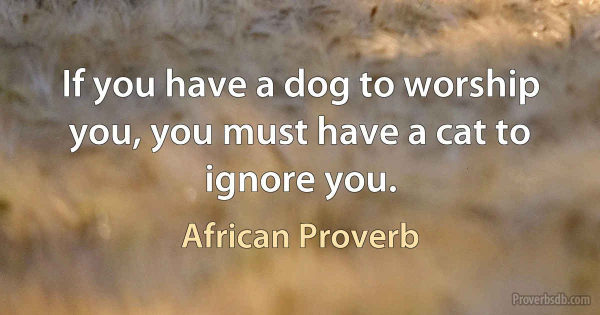 If you have a dog to worship you, you must have a cat to ignore you. (African Proverb)