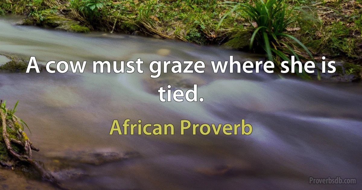 A cow must graze where she is tied. (African Proverb)