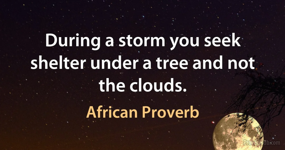 During a storm you seek shelter under a tree and not the clouds. (African Proverb)