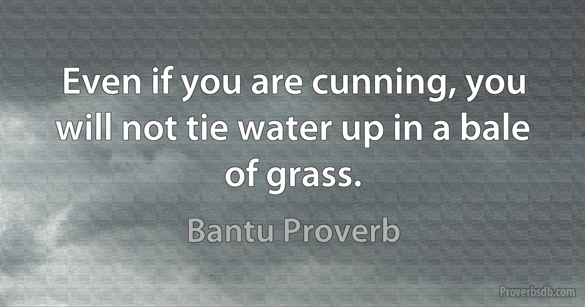 Even if you are cunning, you will not tie water up in a bale of grass. (Bantu Proverb)