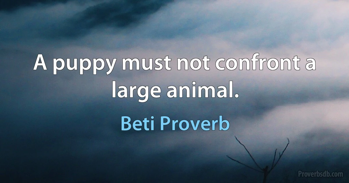 A puppy must not confront a large animal. (Beti Proverb)