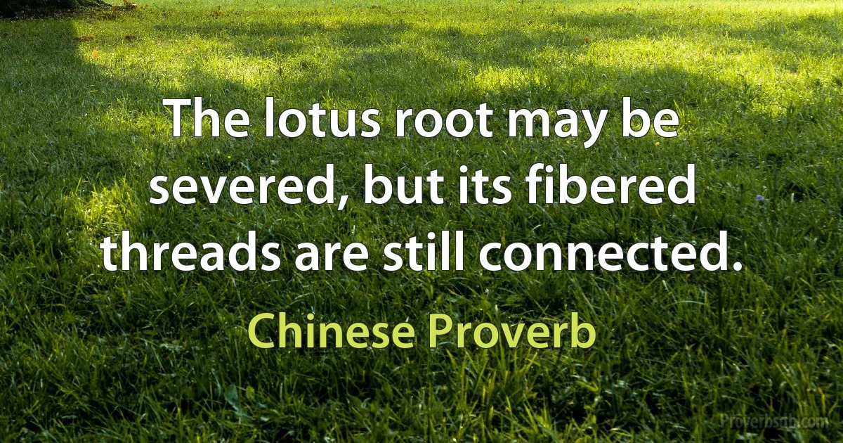 The lotus root may be severed, but its fibered threads are still connected. (Chinese Proverb)