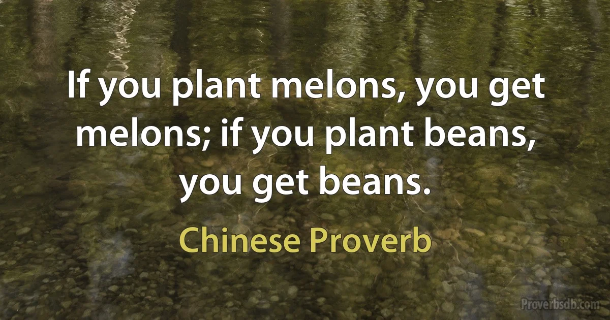 If you plant melons, you get melons; if you plant beans, you get beans. (Chinese Proverb)