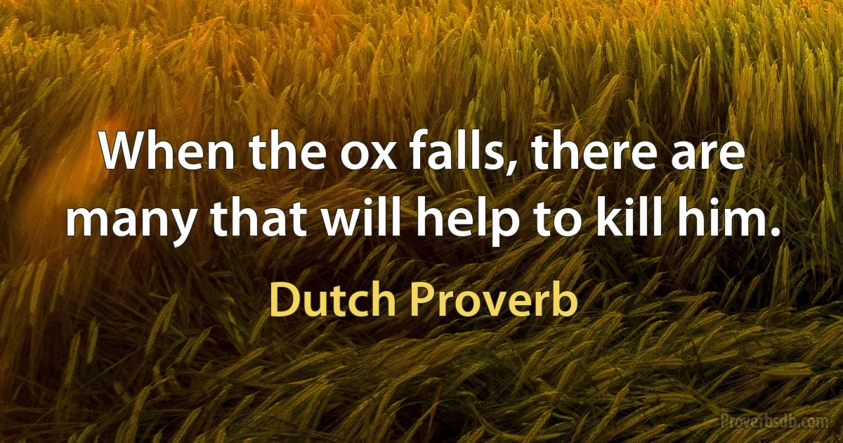 When the ox falls, there are many that will help to kill him. (Dutch Proverb)