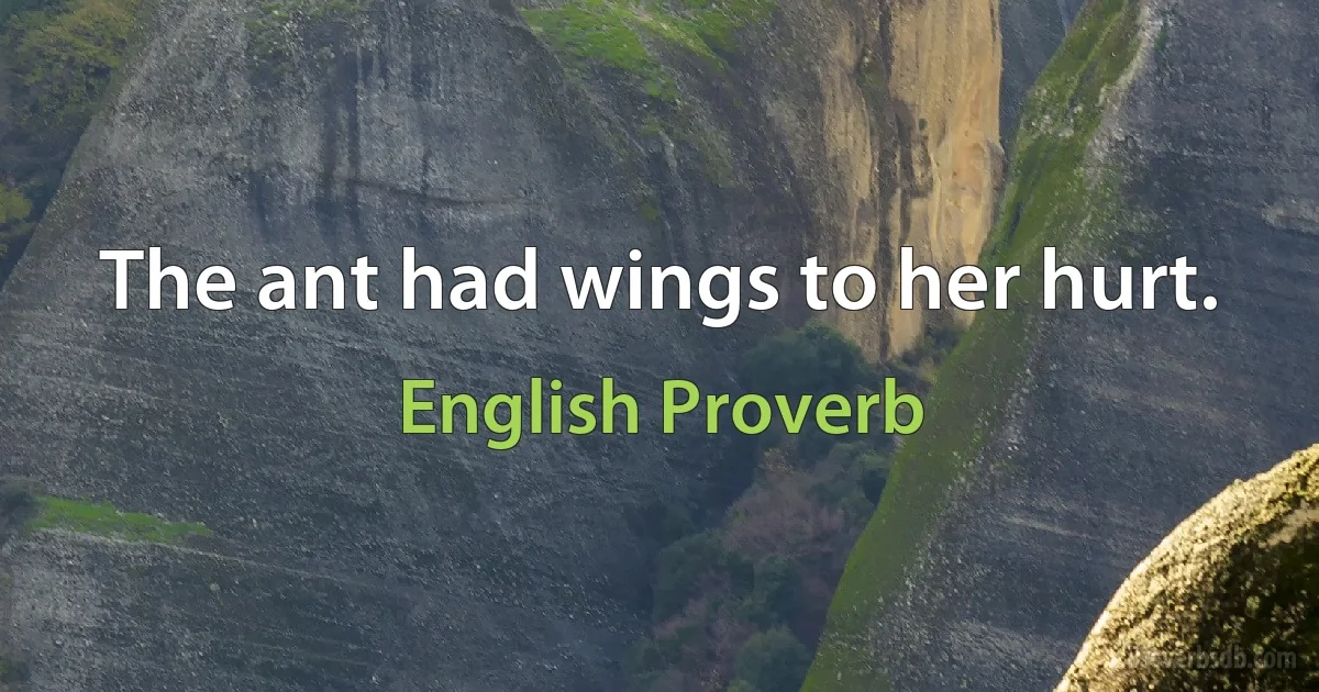 The ant had wings to her hurt. (English Proverb)