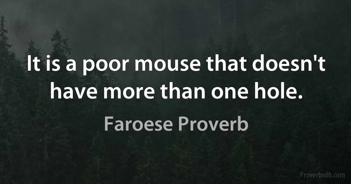 It is a poor mouse that doesn't have more than one hole. (Faroese Proverb)