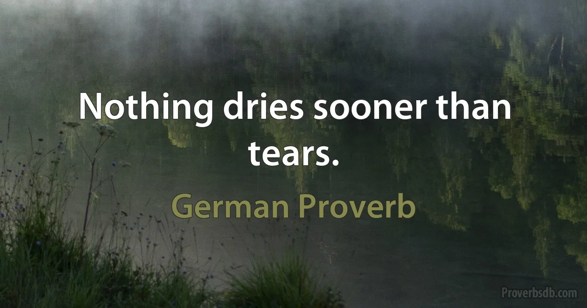 Nothing dries sooner than tears. (German Proverb)