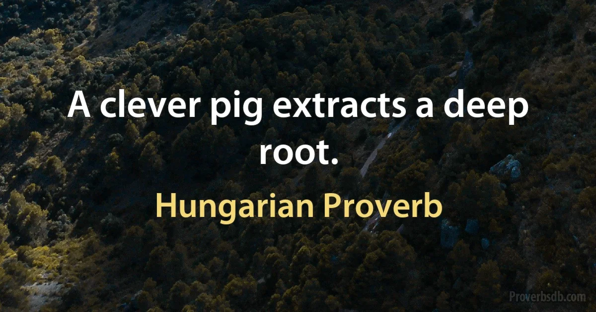 A clever pig extracts a deep root. (Hungarian Proverb)