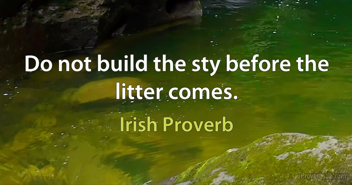 Do not build the sty before the litter comes. (Irish Proverb)